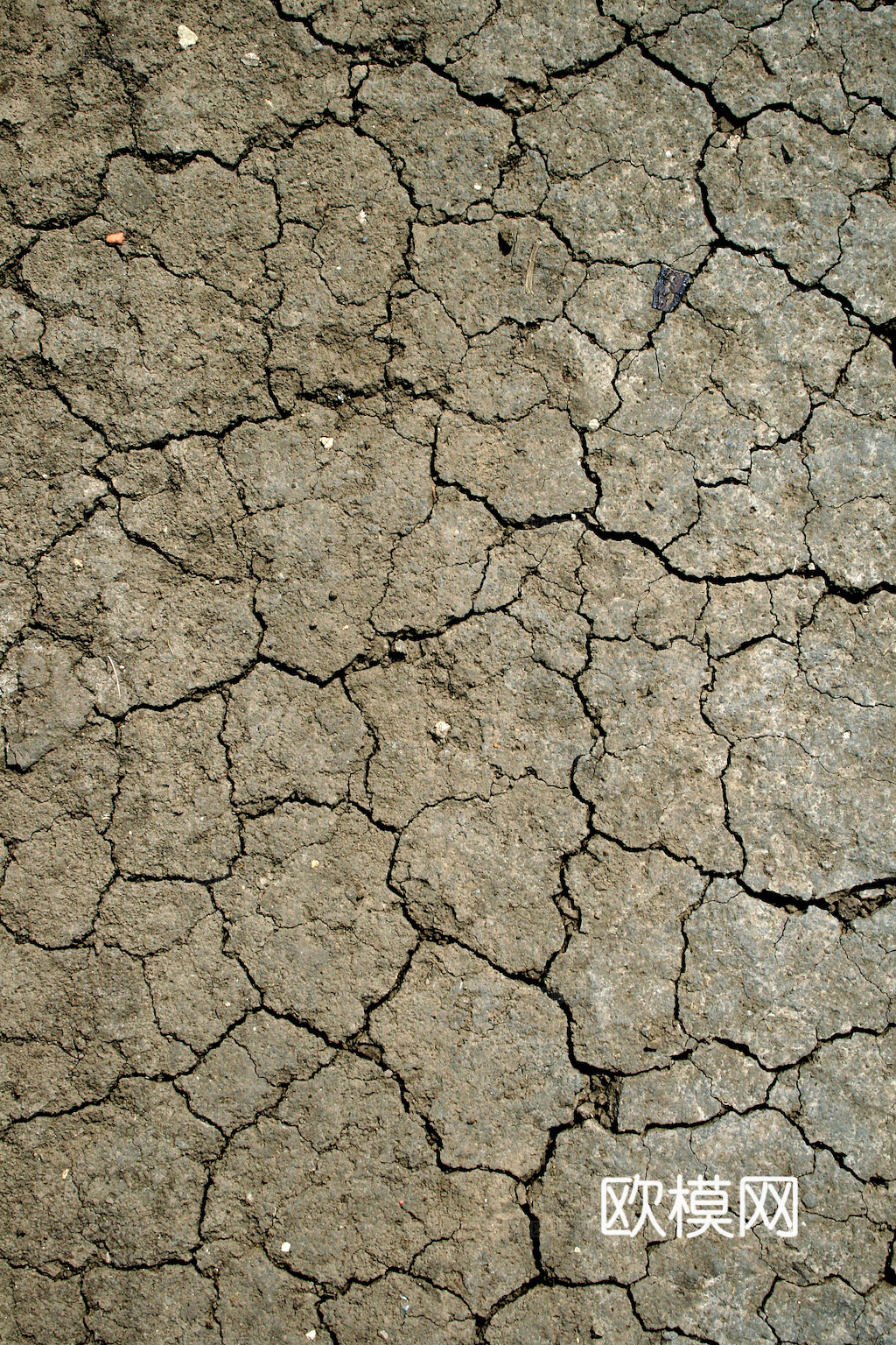 沙土地面 地表 土地 龟裂裂纹泥土农田