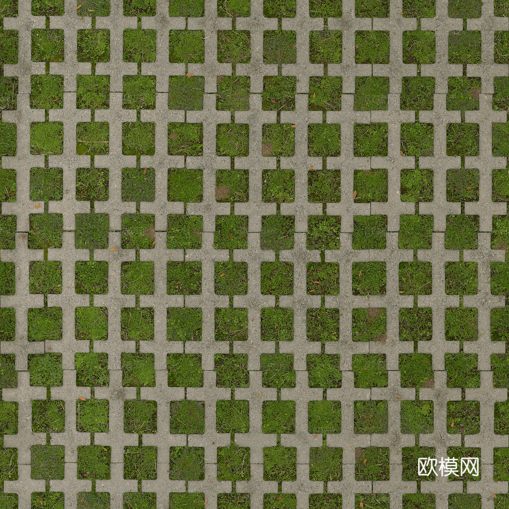 草地 草皮 地面 地表 俯视绿地 森林 苔藓 花草 花卉鲜花下载