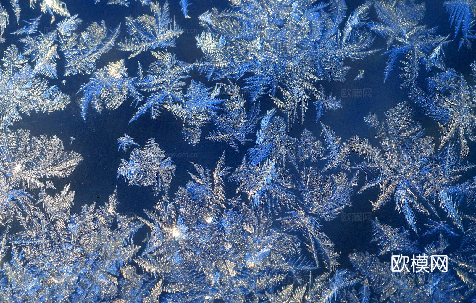 冰面 冰块 冰纹理冰雪 冰冻地面雪地冰霜 冰花冰纹玻璃 冰晶