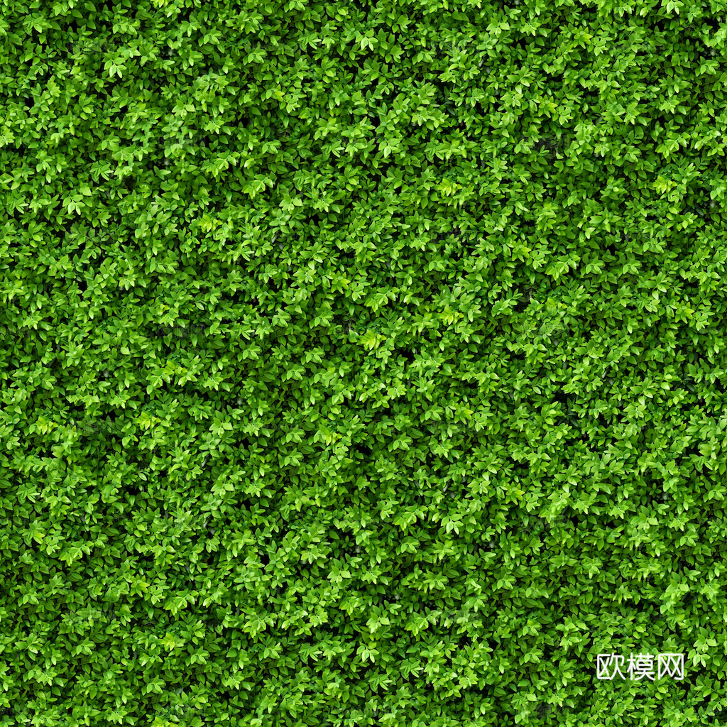 草地 草皮 地面 地表 俯视绿地 森林 苔藓 花草 花卉鲜花下载