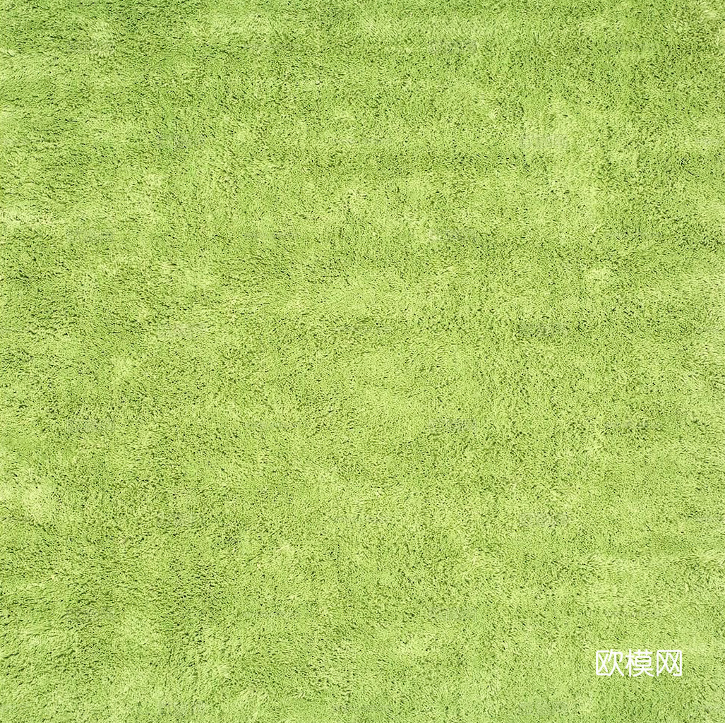 草地 草皮 地面 地表 俯视绿地 森林 苔藓 花草 花卉鲜花下载