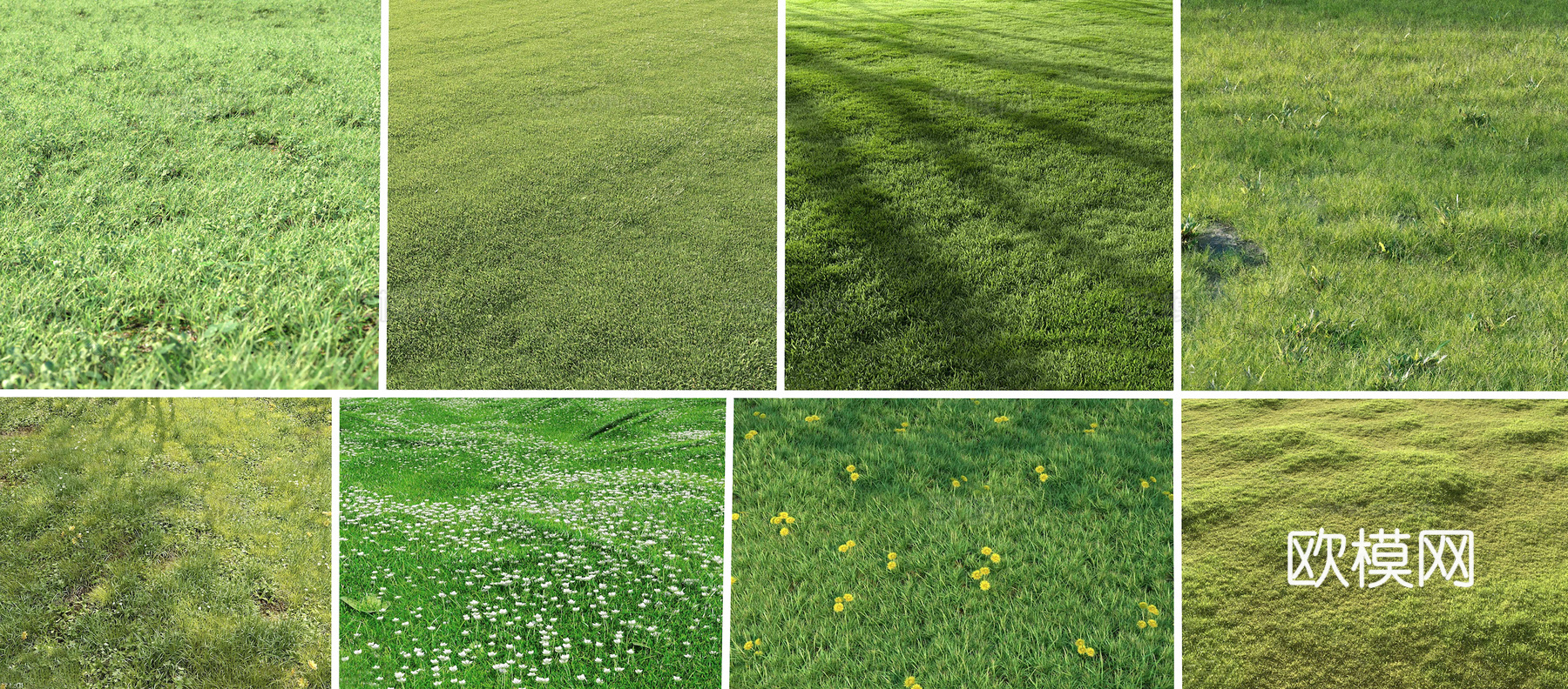 草地 草皮 地面 地表 俯视绿地 森林 苔藓 花草 花卉鲜花下载