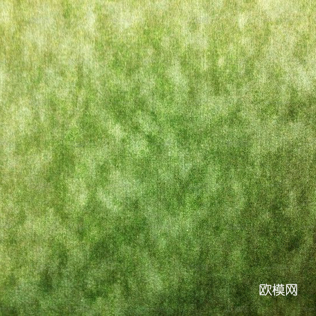 草地 草皮 地面 地表 俯视绿地 森林 苔藓 花草 花卉鲜花下载