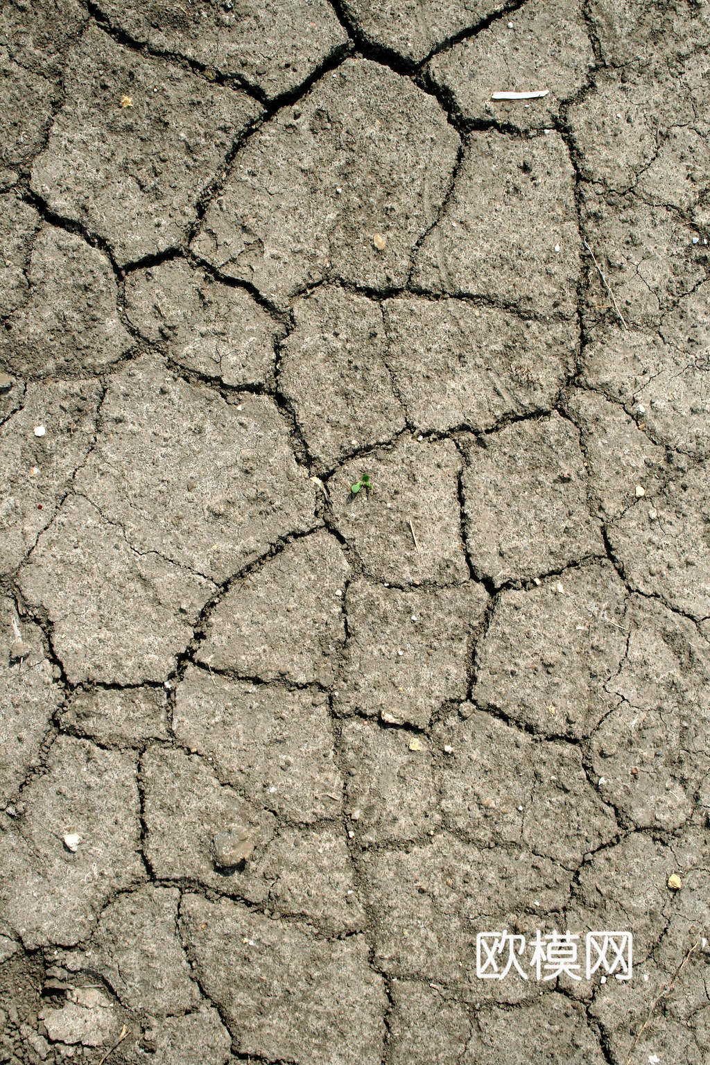 沙土地面 地表 土地 龟裂裂纹泥土农田