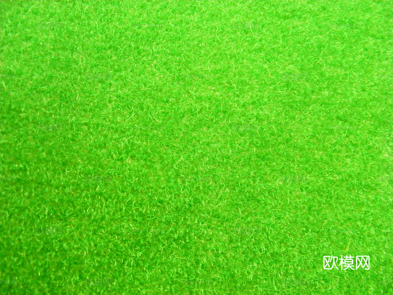 草地 草皮 地面 地表 俯视绿地 森林 苔藓 花草 花卉鲜花