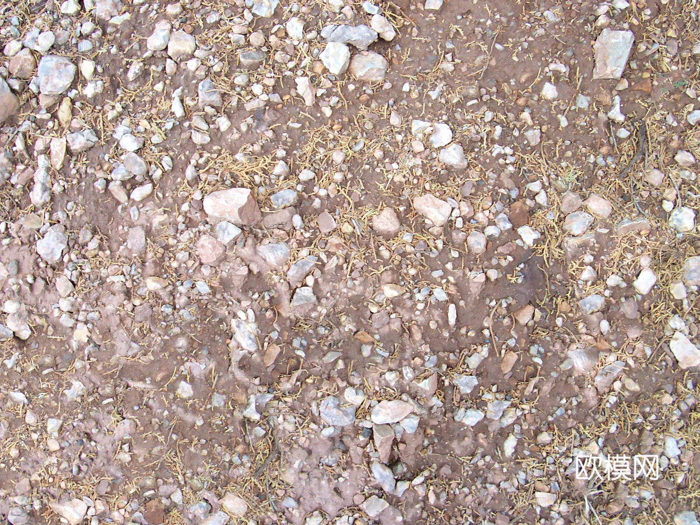 沙土地面 地表 土地 龟裂裂纹泥土农田下载