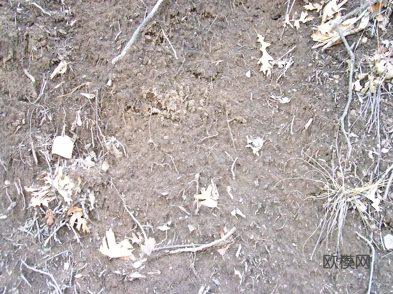 沙土地面 地表 土地 龟裂裂纹泥土农田