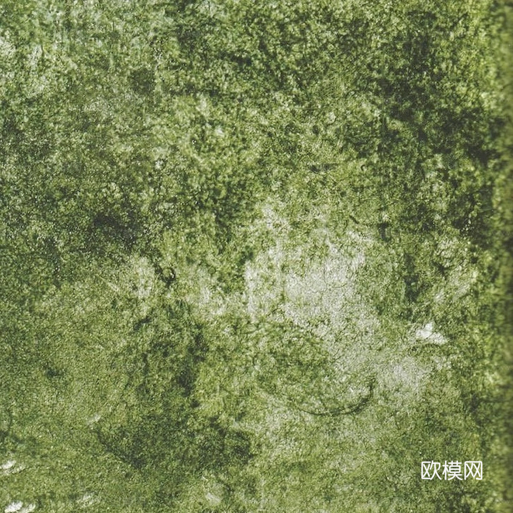 草地 草皮 地面 地表 俯视绿地 森林 苔藓 花草 花卉鲜花下载