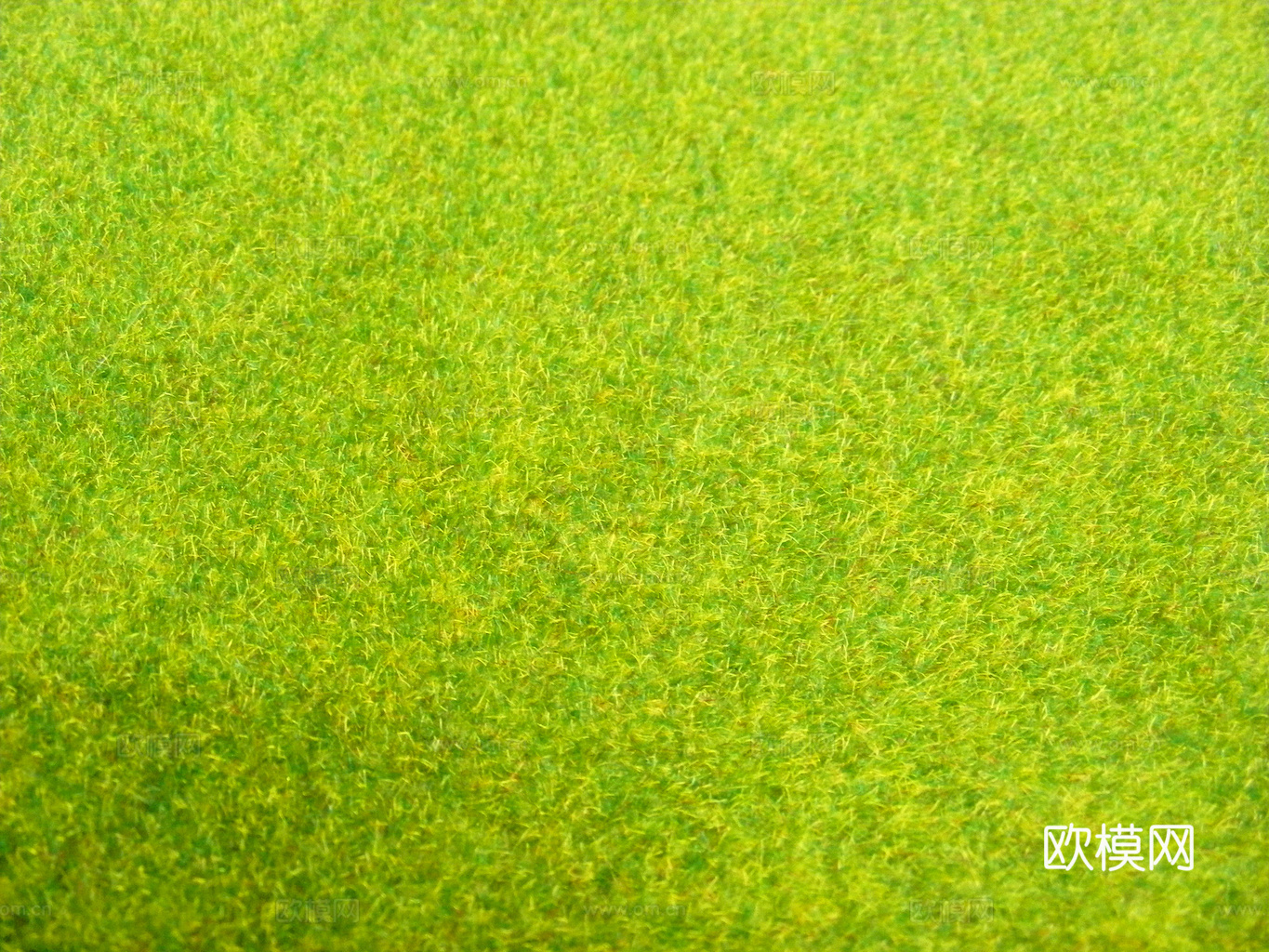 草地 草皮 地面 地表 俯视绿地 森林 苔藓 花草 花卉鲜花