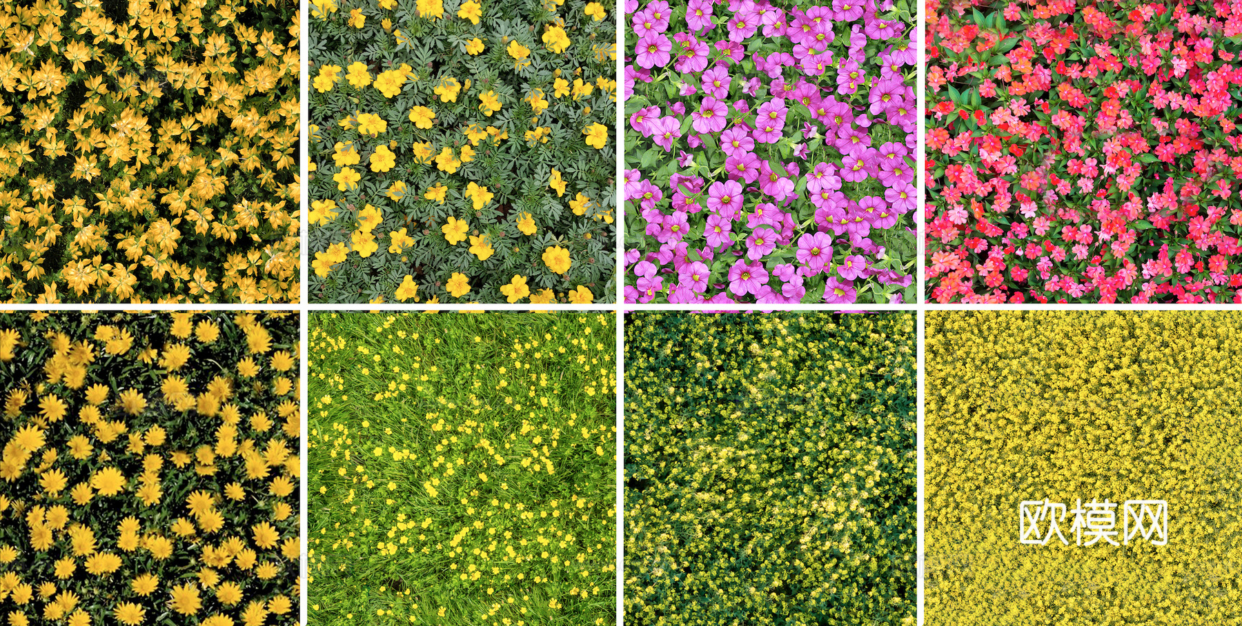 草地 草皮 地面 地表 俯视绿地 森林 苔藓 花草 花卉鲜花下载