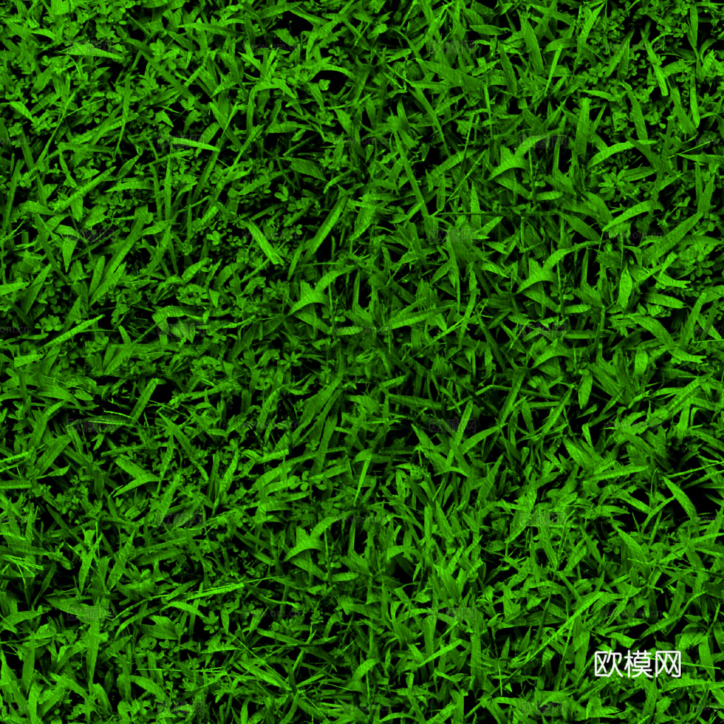 草地 草皮 地面 地表 俯视绿地 森林 苔藓 花草 花卉鲜花