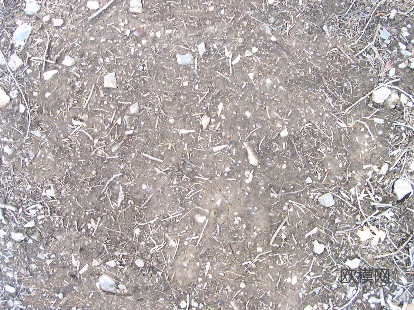 沙土地面 地表 土地 龟裂裂纹泥土农田