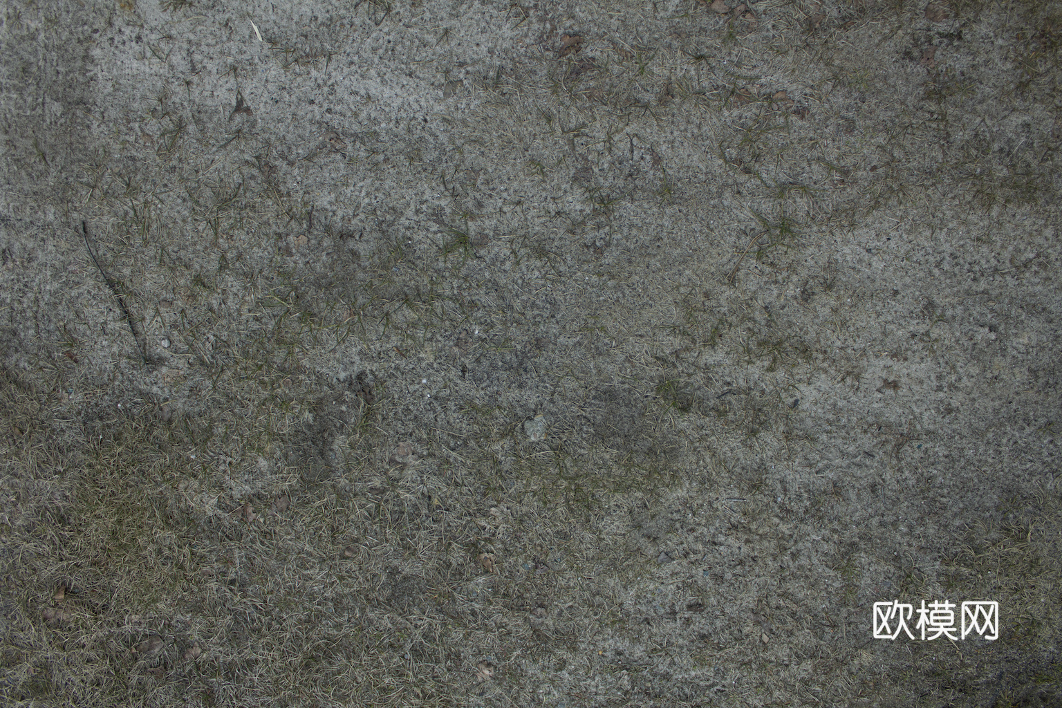 草地 草皮 地面 地表 俯视绿地 森林 苔藓 花草 花卉鲜花下载