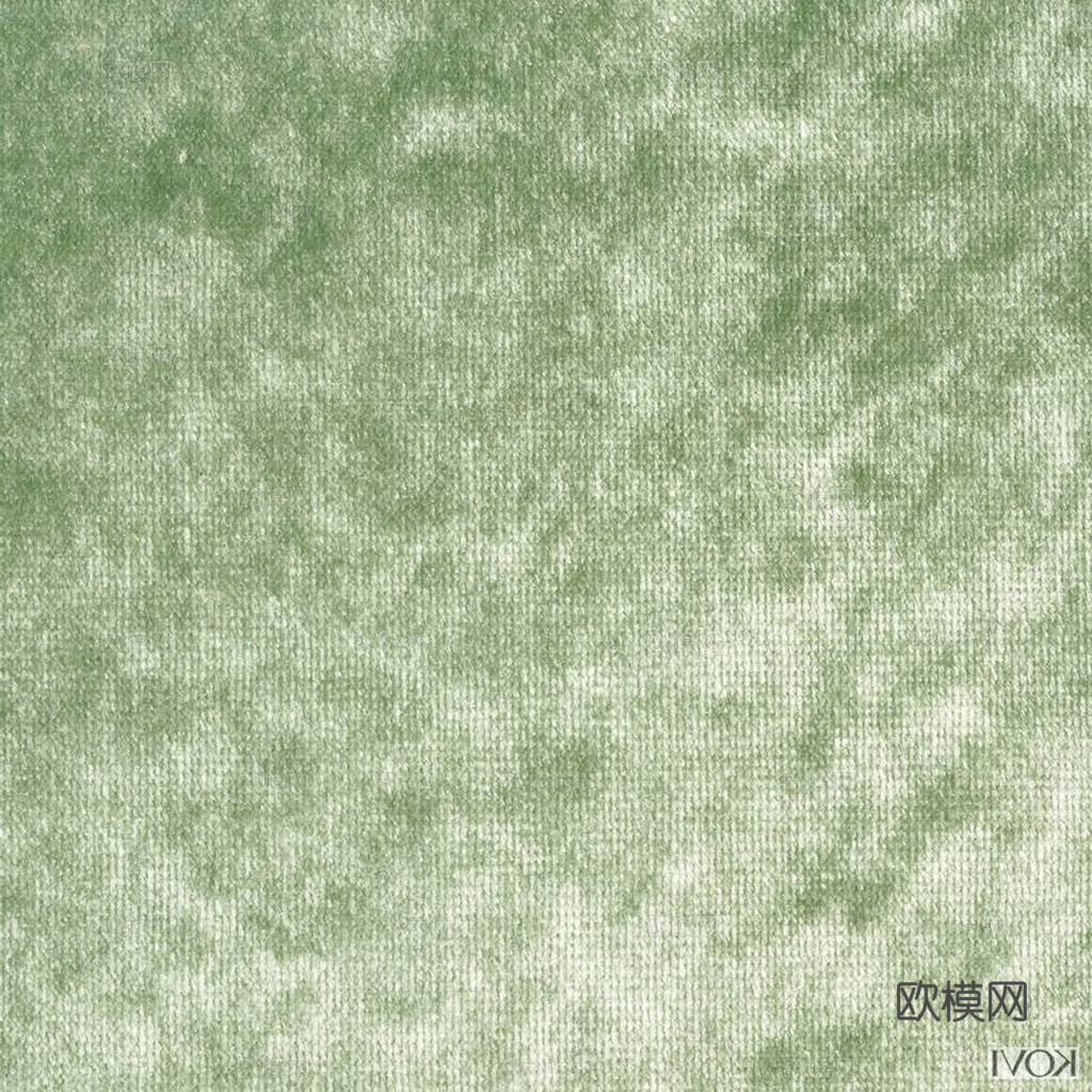 草地 草皮 地面 地表 俯视绿地 森林 苔藓 花草 花卉鲜花下载