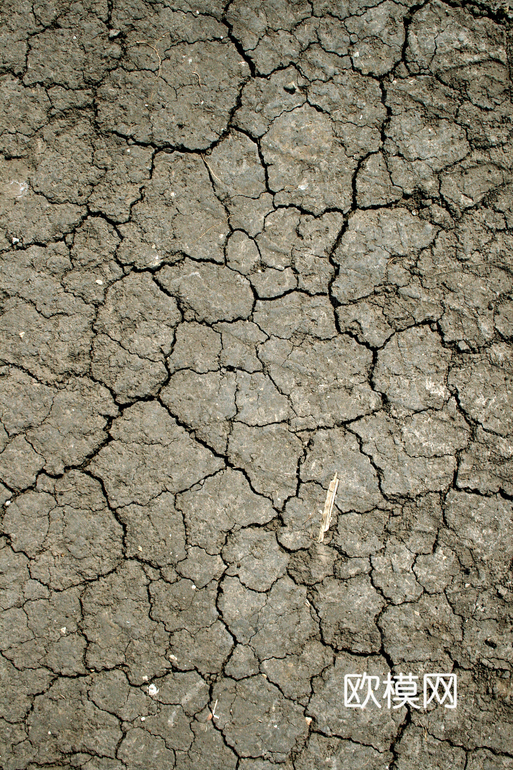 沙土地面 地表 土地 龟裂裂纹泥土农田