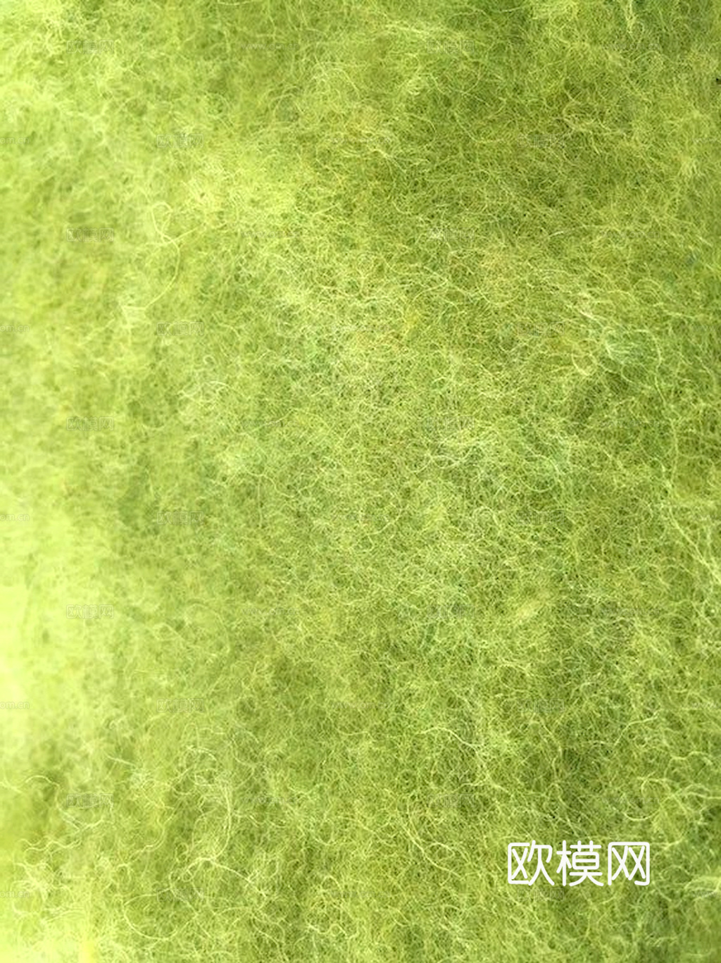 草地 草皮 地面 地表 俯视绿地 森林 苔藓 花草 花卉鲜花下载