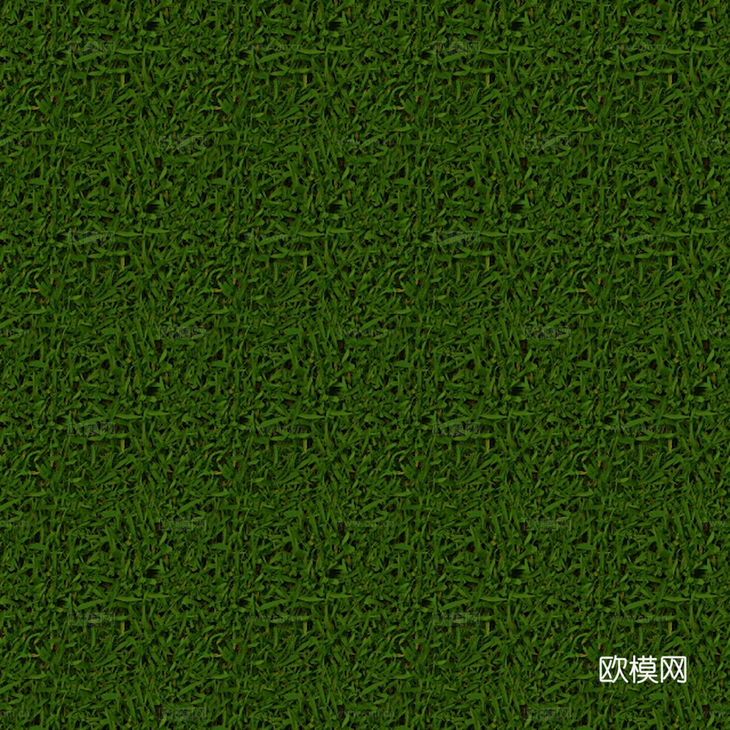 草地 草皮 地面 地表 俯视绿地 森林 苔藓 花草 花卉鲜花下载