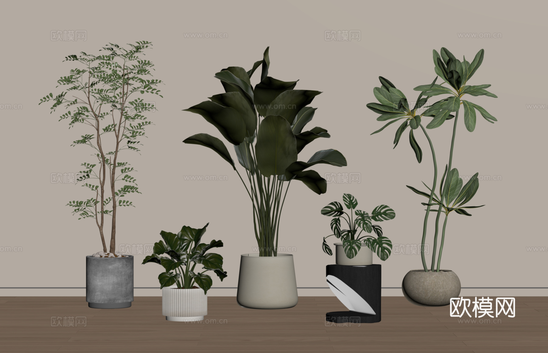 现代盆栽组合su模型