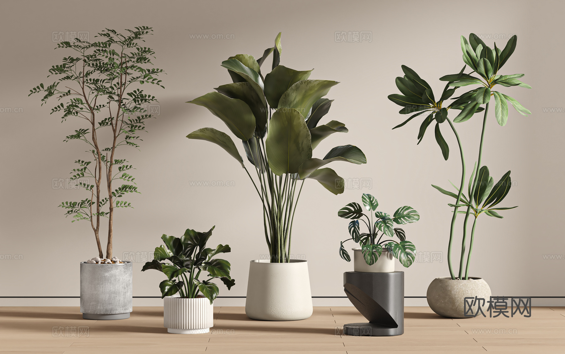 现代盆栽组合su模型