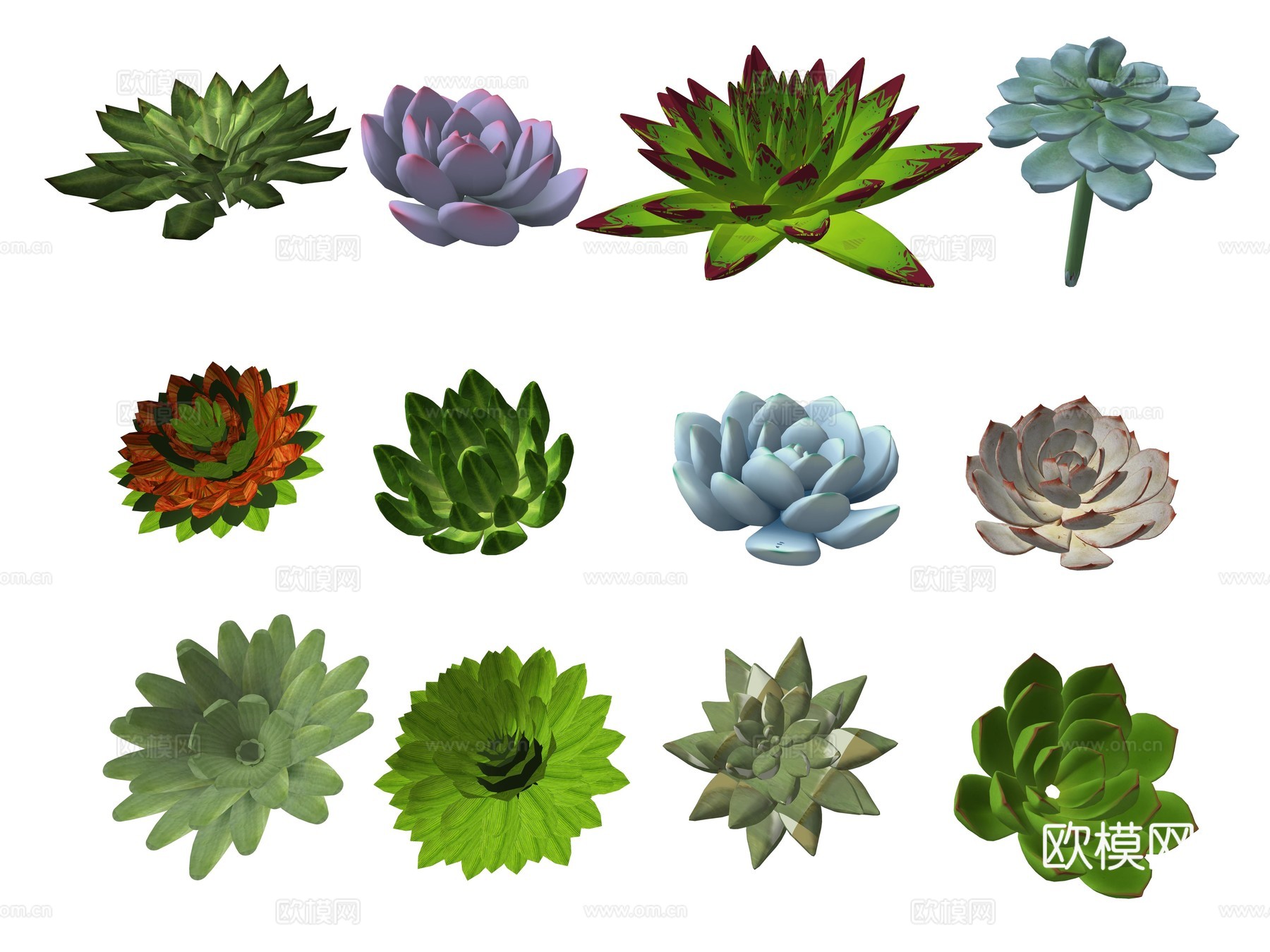 现代庭院多肉植物su模型