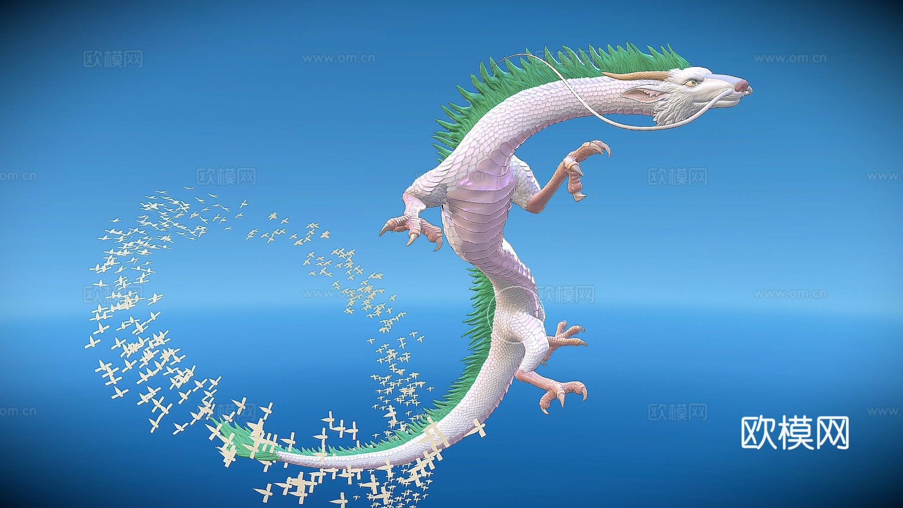 现代水生动物 小白龙 龙su模型