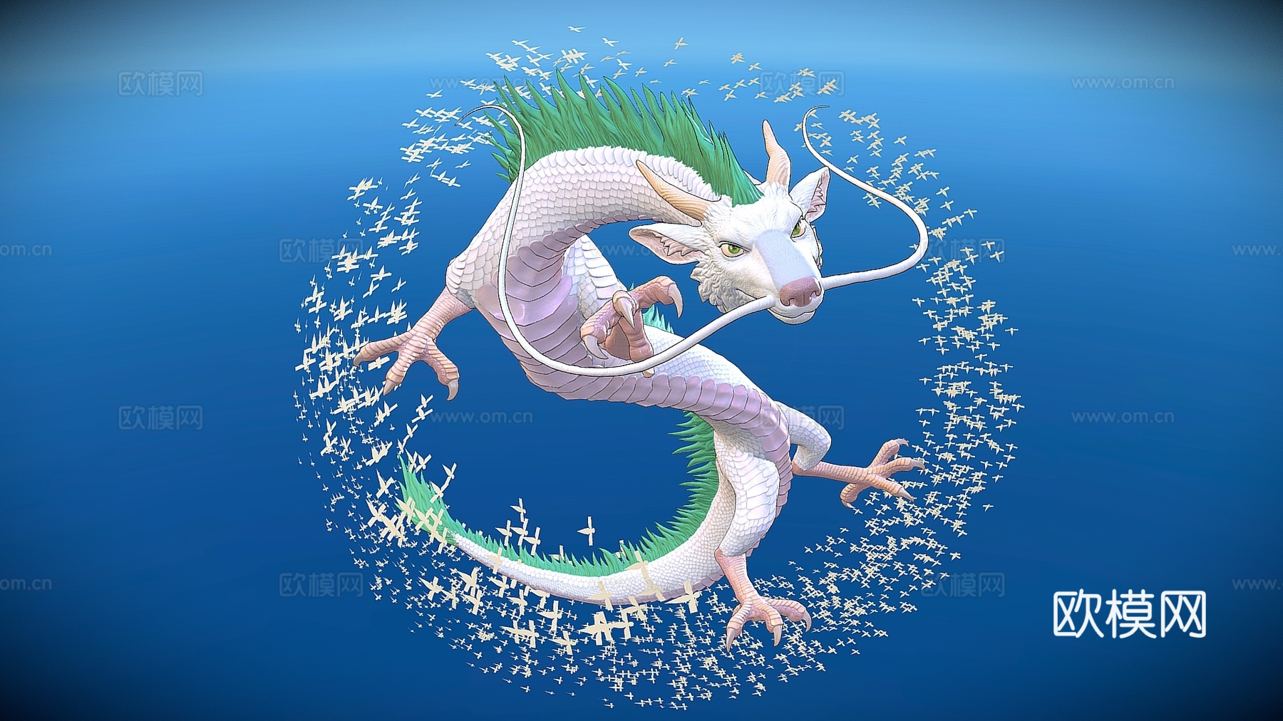 现代水生动物 小白龙 龙su模型