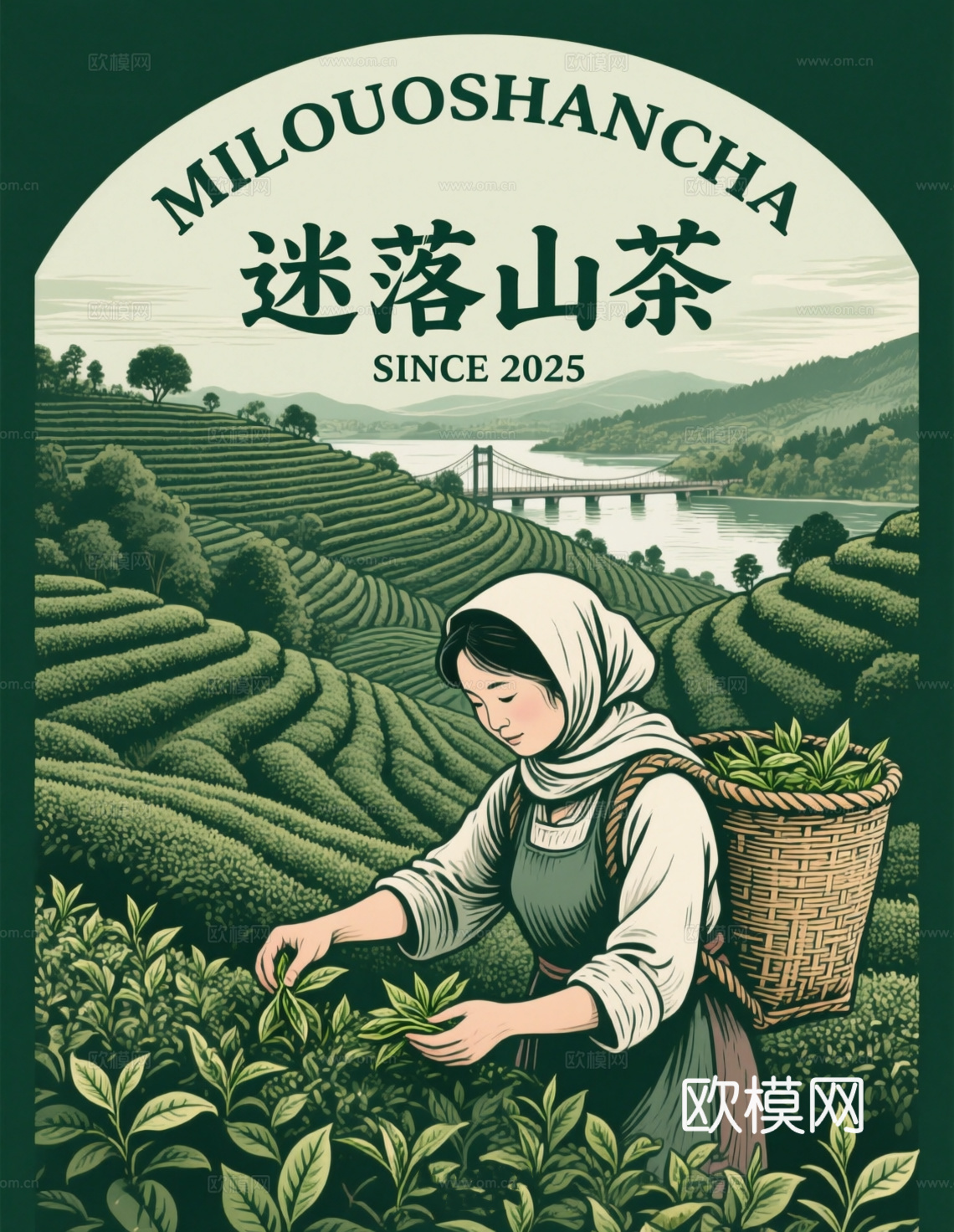 采茶 包装 手绘 茶叶