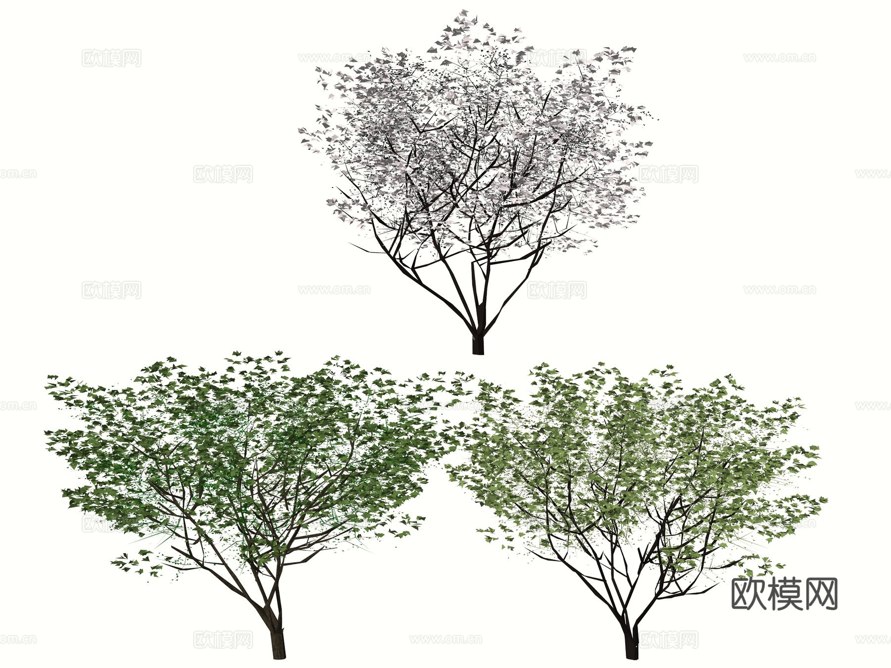 现代庭院花灌木植物树su模型