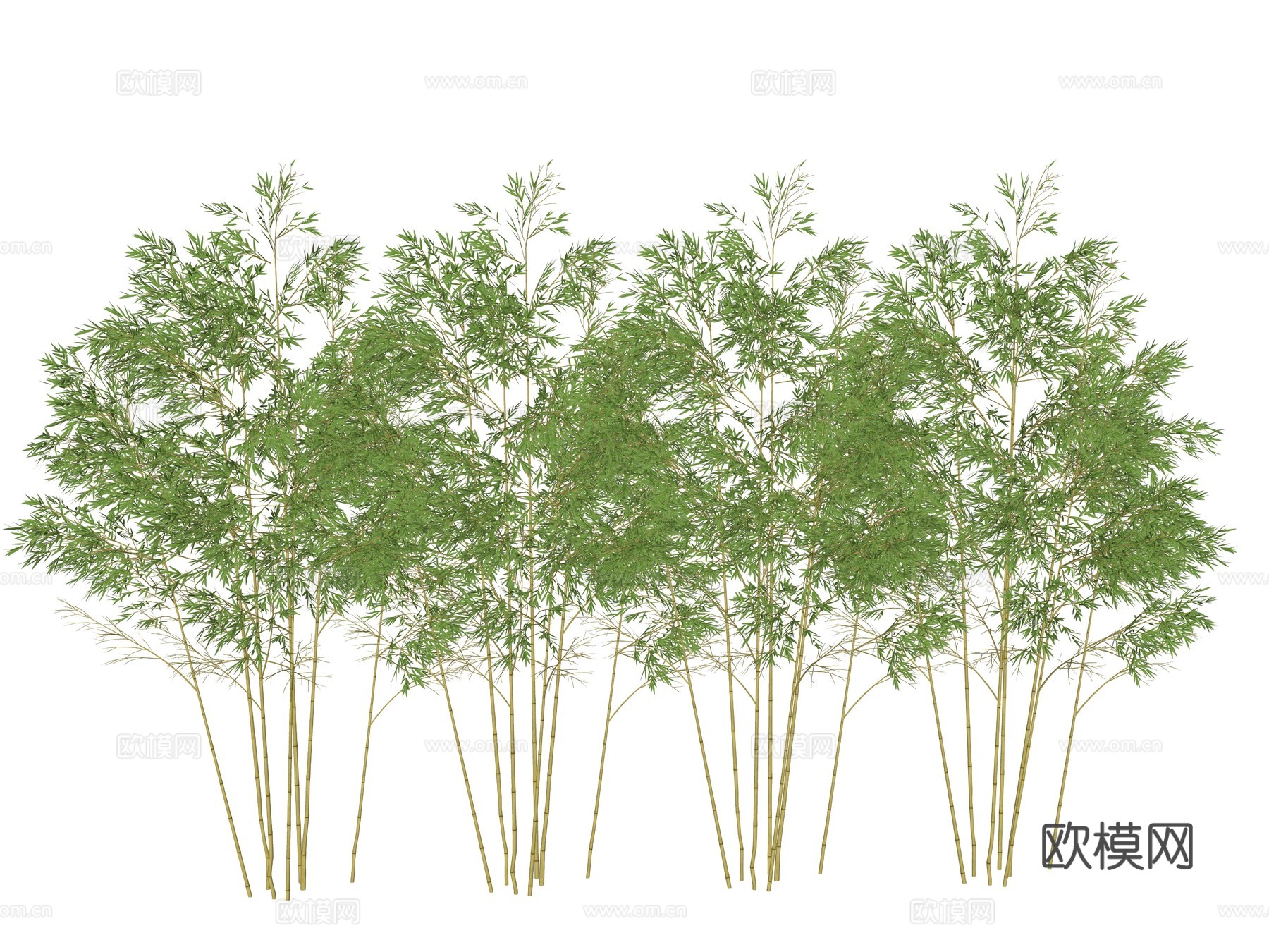 现代竹子植物su模型
