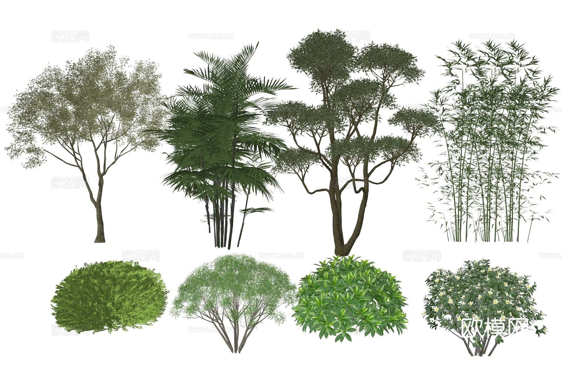 现代植物组合su模型