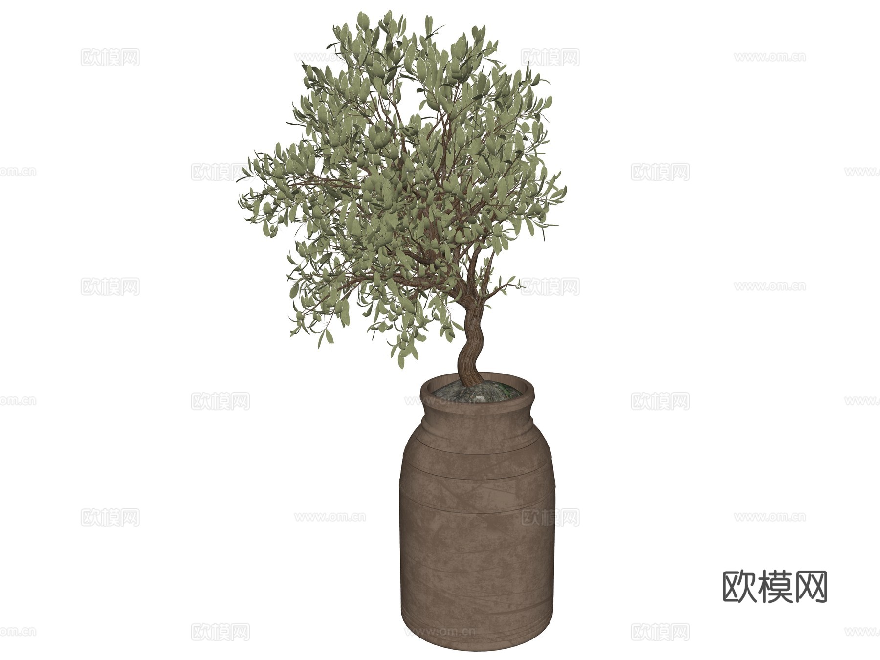 现代盆栽植物su模型