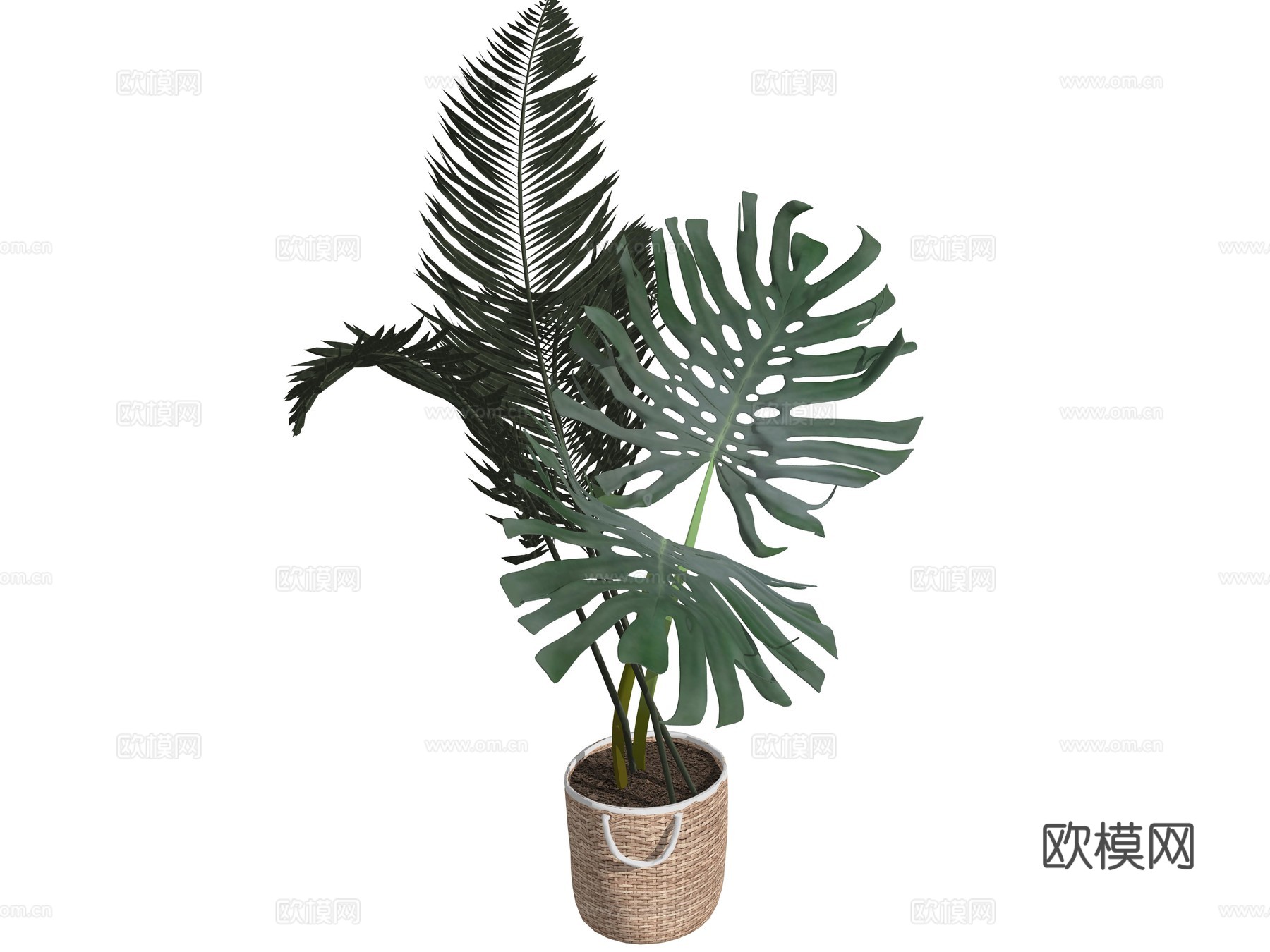 现代室内盆栽植物su模型