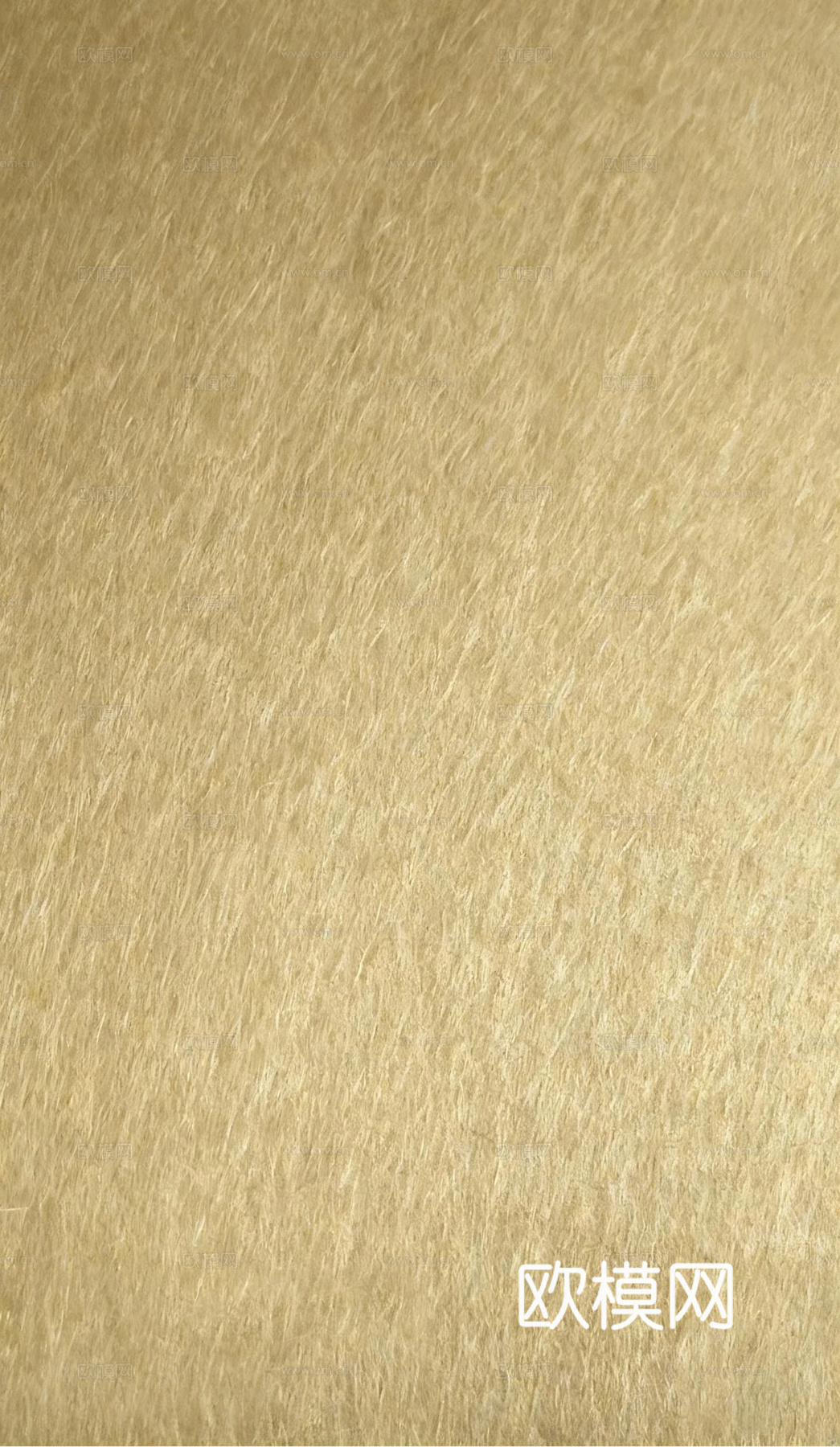 铜色乱纹不锈钢 香槟金色乱纹不锈钢