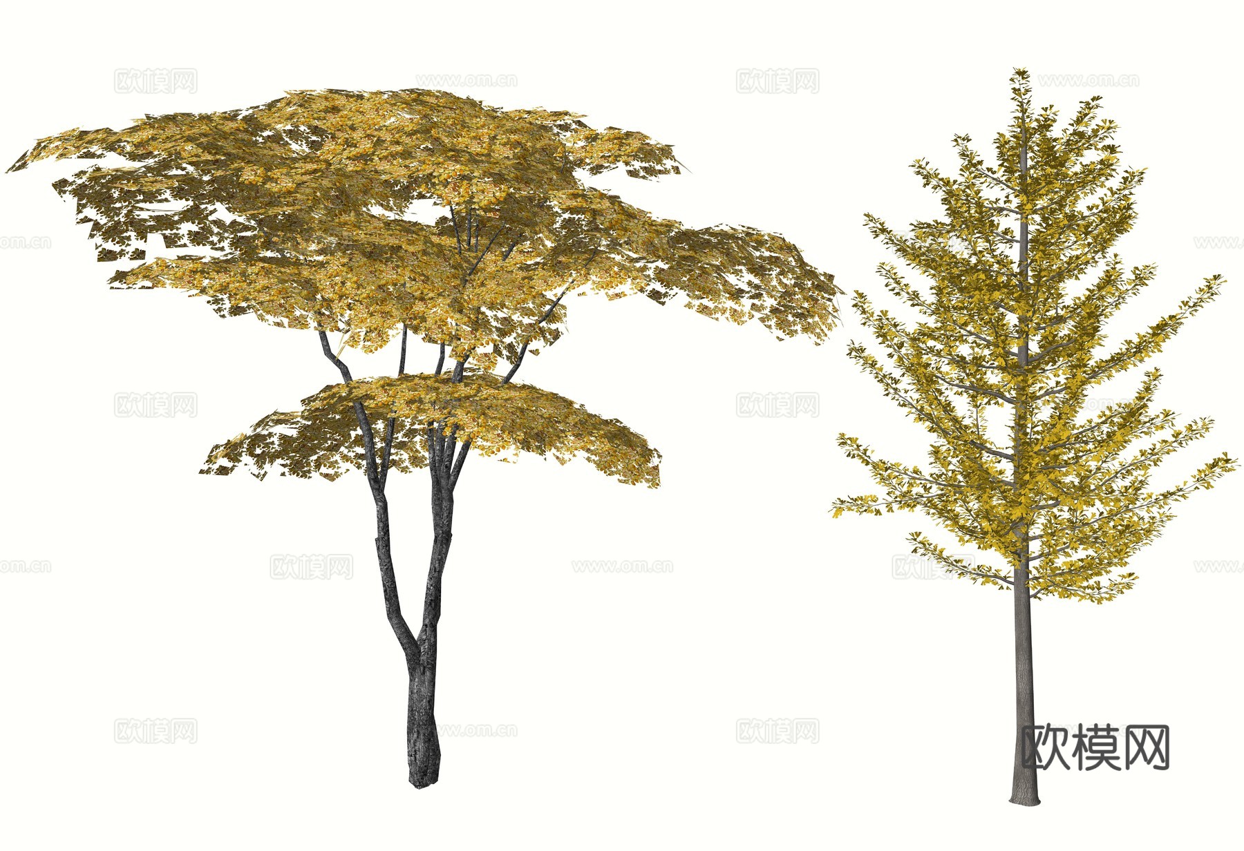 现代庭院植物树su模型