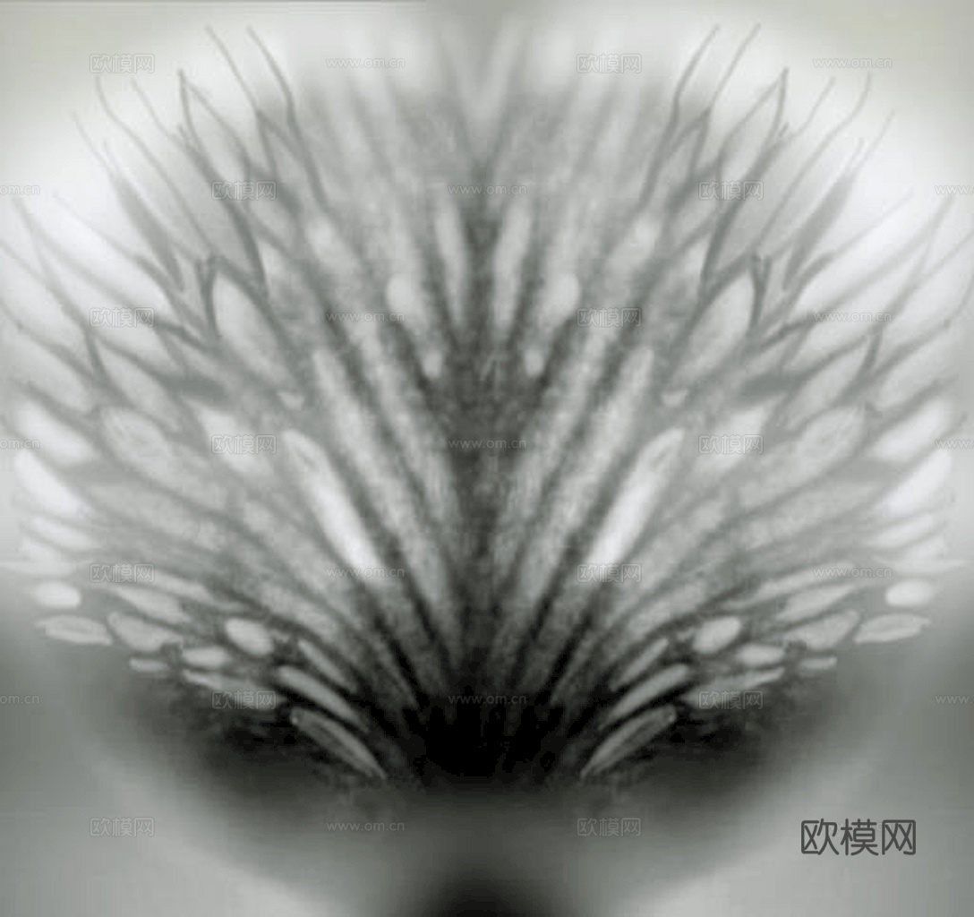 植物树叶 叶子  叶片纹理 绿叶 黄叶 红叶 绿植下载