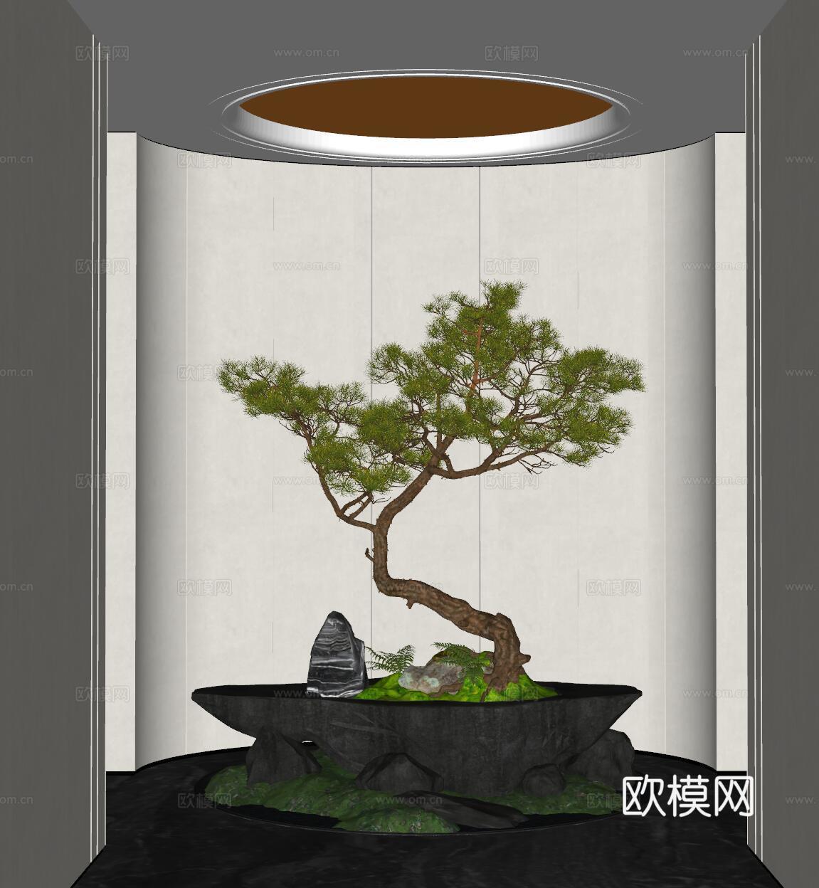 现代室内景观 景观小品 植物造景 植物堆 景观植物su模型