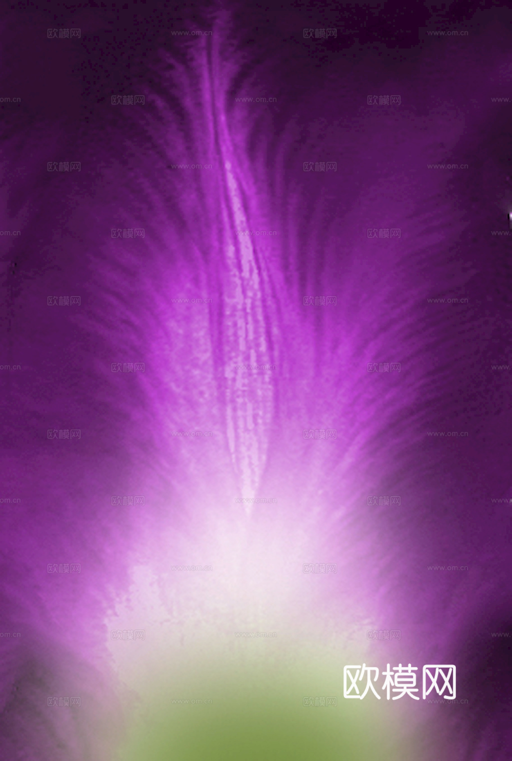 植物树叶 叶子  叶片纹理 绿叶 黄叶 红叶 绿植下载