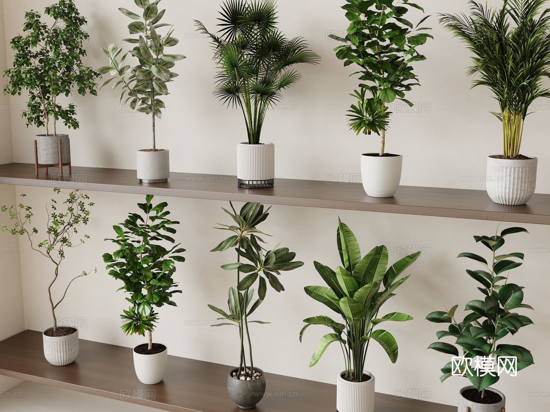 现代中古植物盆景3d模型下载