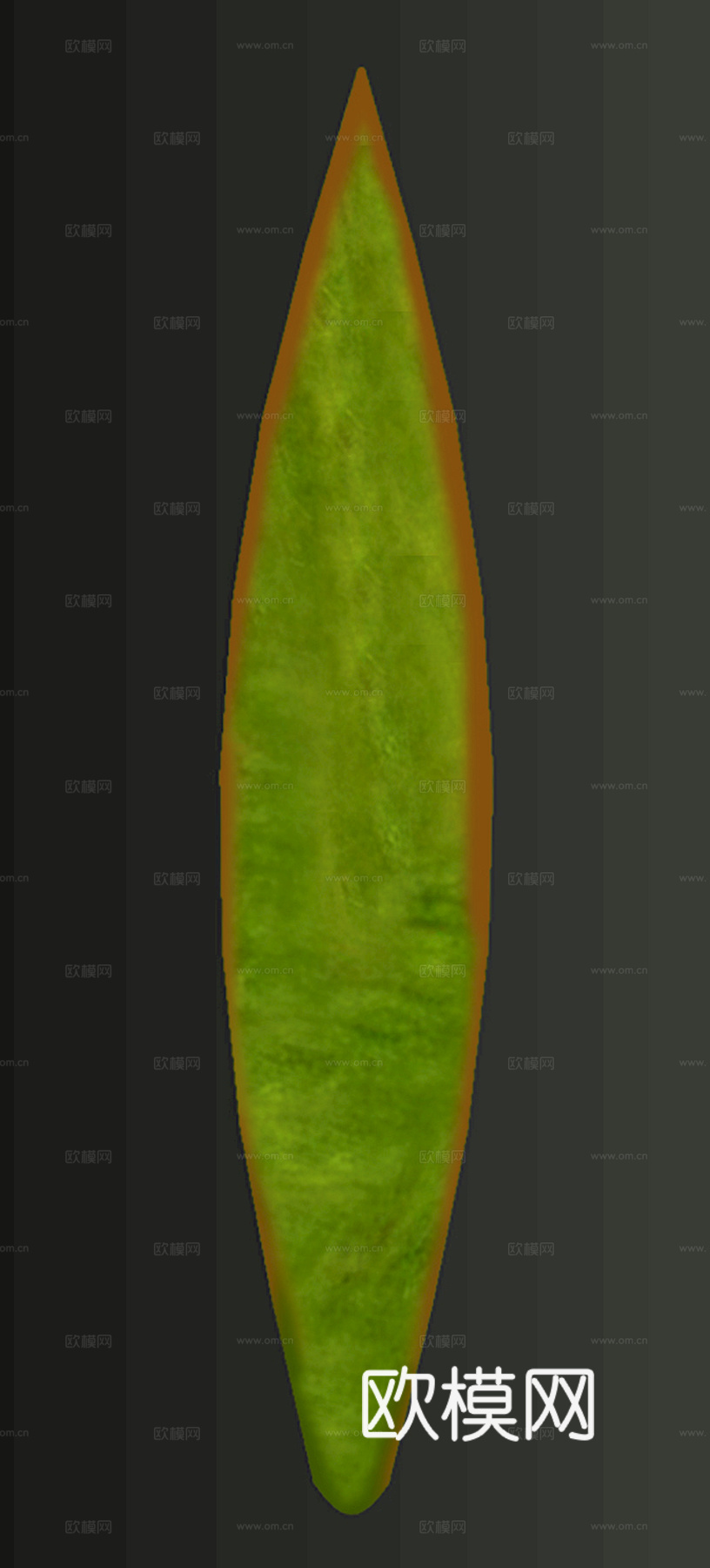 植物树叶 叶子  叶片纹理 绿叶 黄叶 红叶 绿植下载