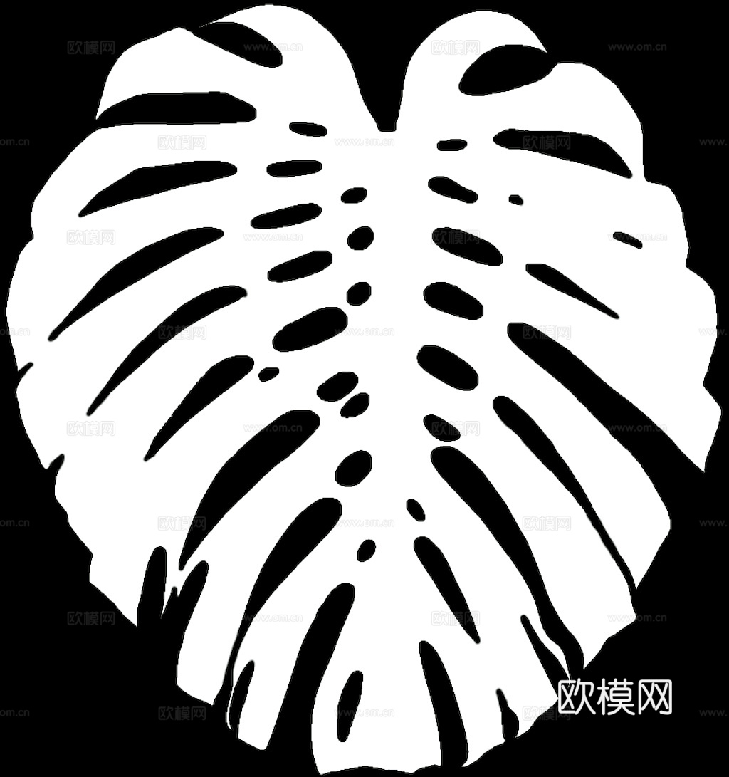 植物树叶 叶子  叶片纹理 绿叶 黄叶 红叶 绿植下载