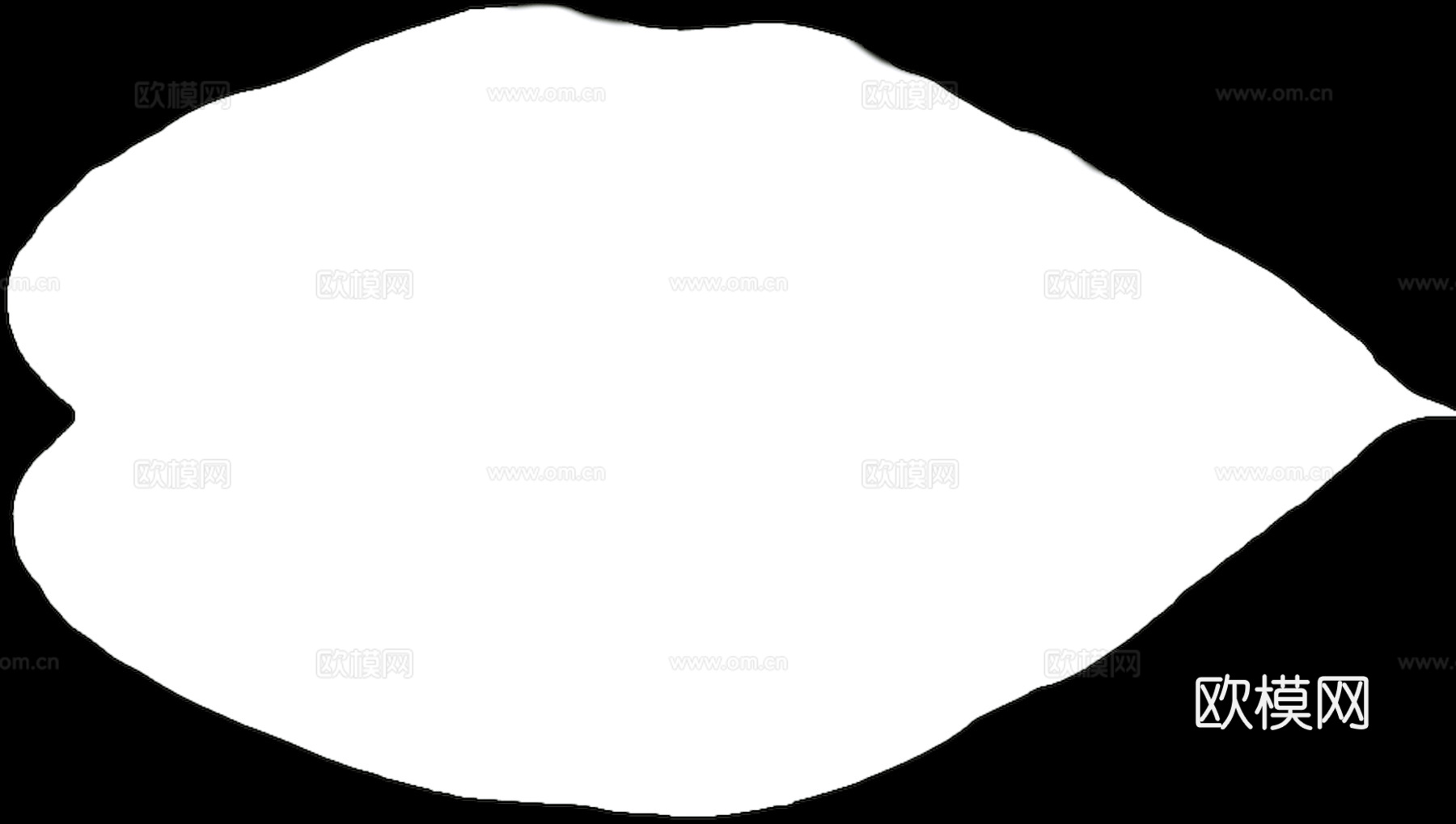 植物树叶 叶子  叶片纹理 绿叶 黄叶 红叶 绿植下载