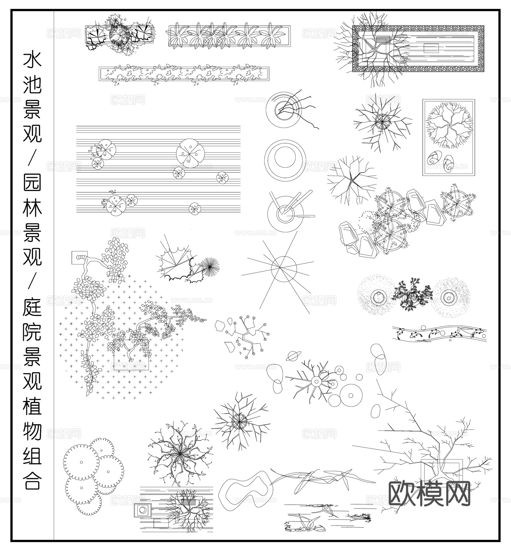 庭院景观 水池景观 园林景观 花草树木 植物组合cad施工图