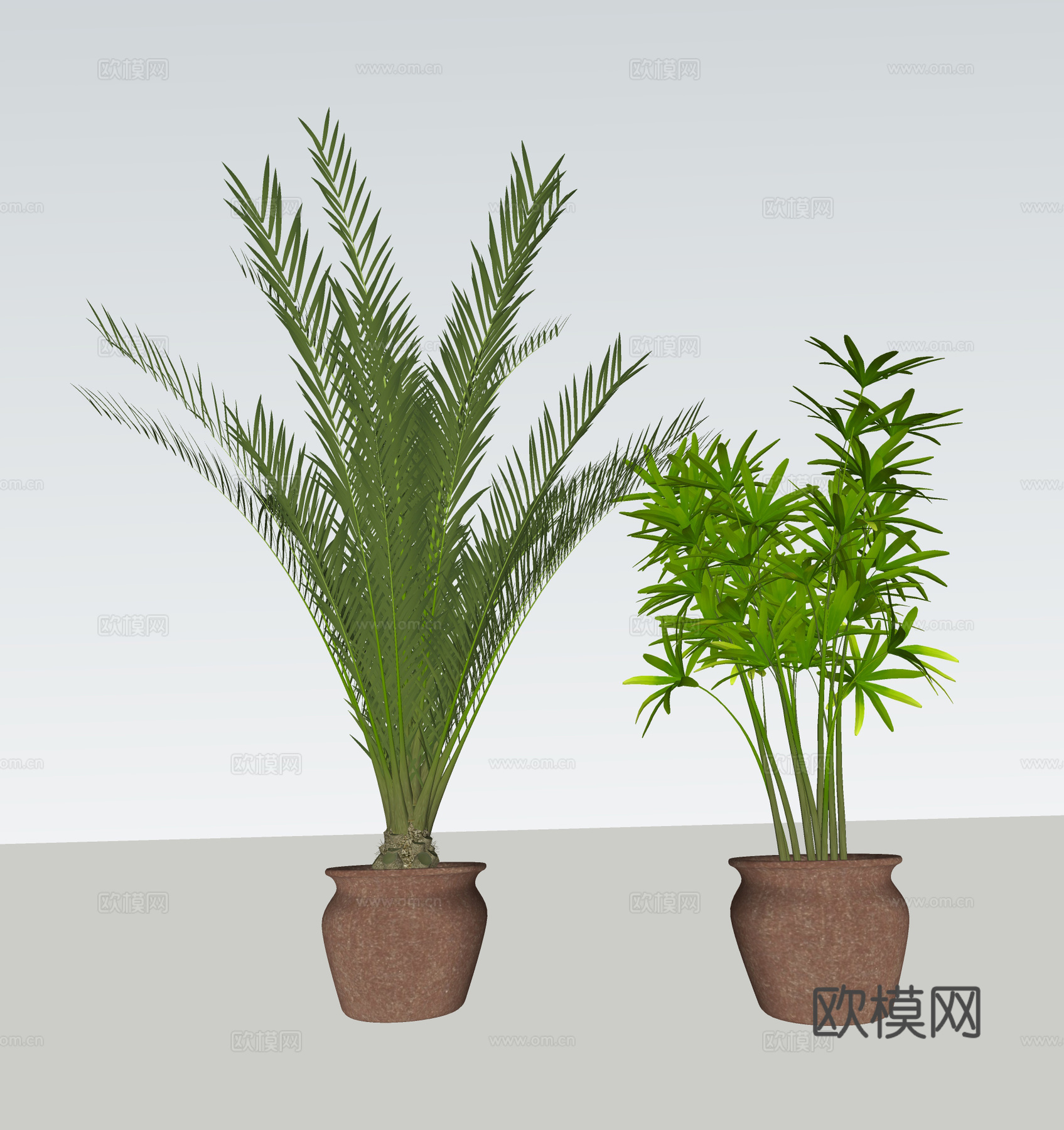 新中式盆栽盆景  绿植 室内观赏植物 中式花盆su模型
