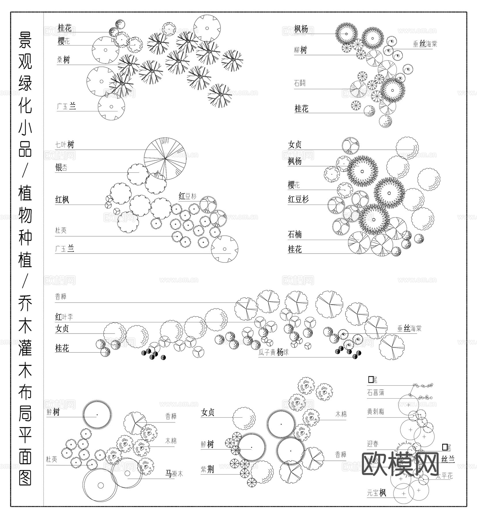 植物种植 景观绿化小品 乔木灌木布局平面图cad施工图下载（渲染图1）