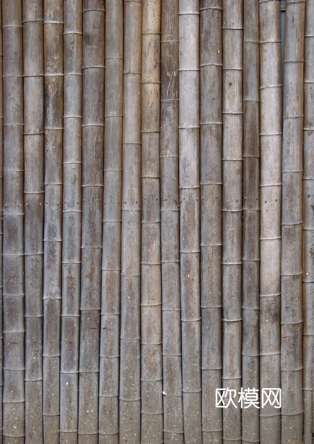 竹子 竹干 竹排 竹筏