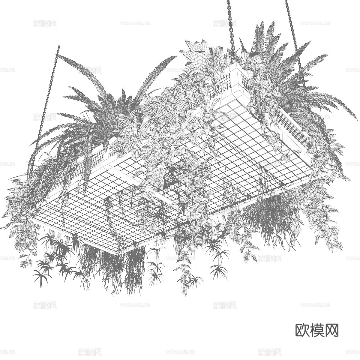 现代悬挂绿植 植物架  安佩尔植物3d模型下载（渲染图4）