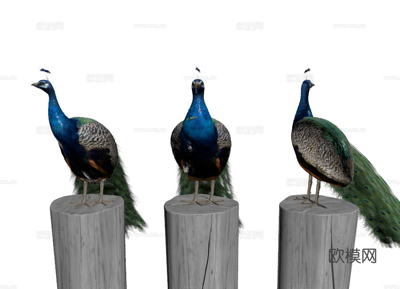 孔雀 孔雀雕像雕塑 孔雀摆件饰品su模型