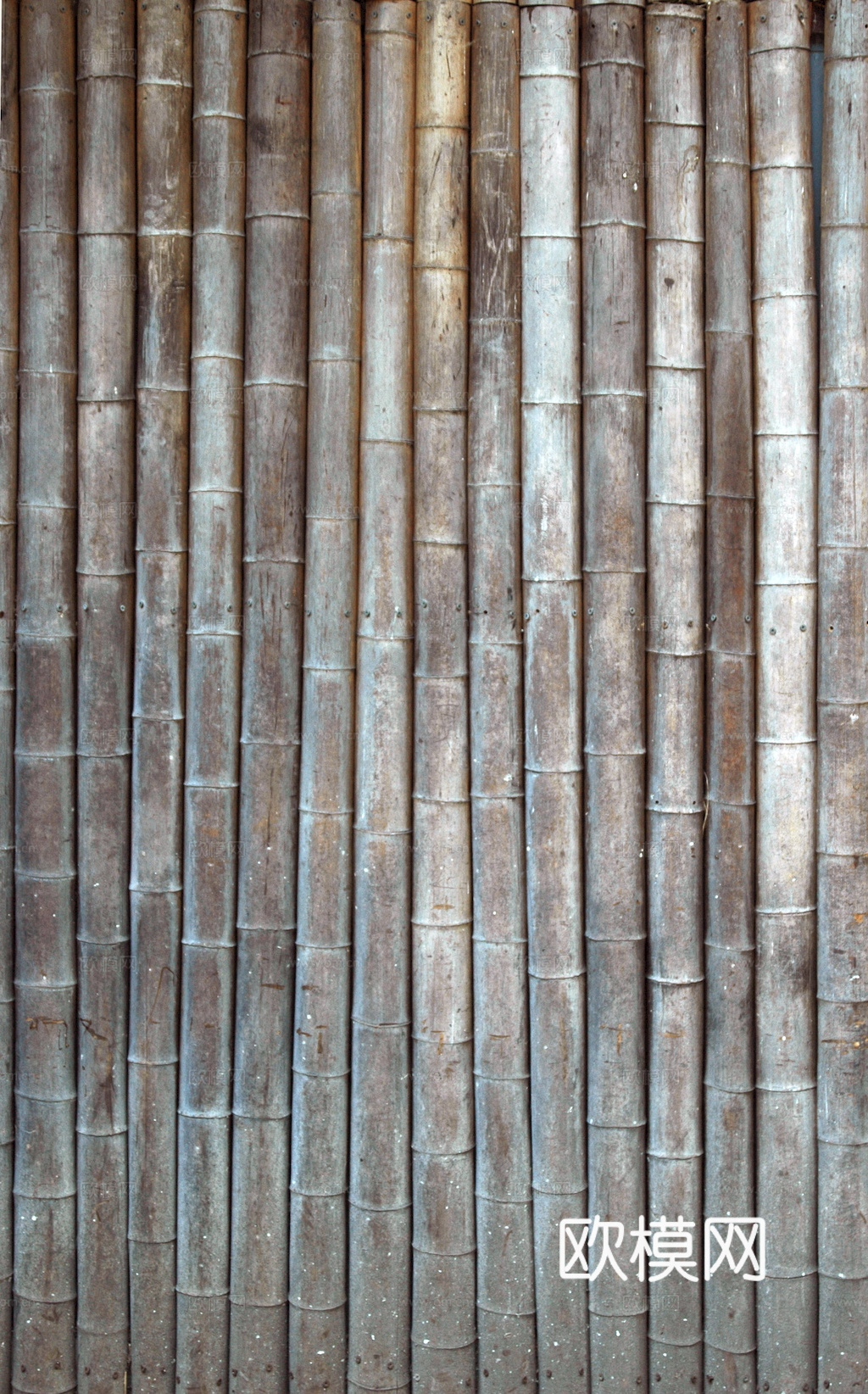 竹子 竹干 竹排 竹筏