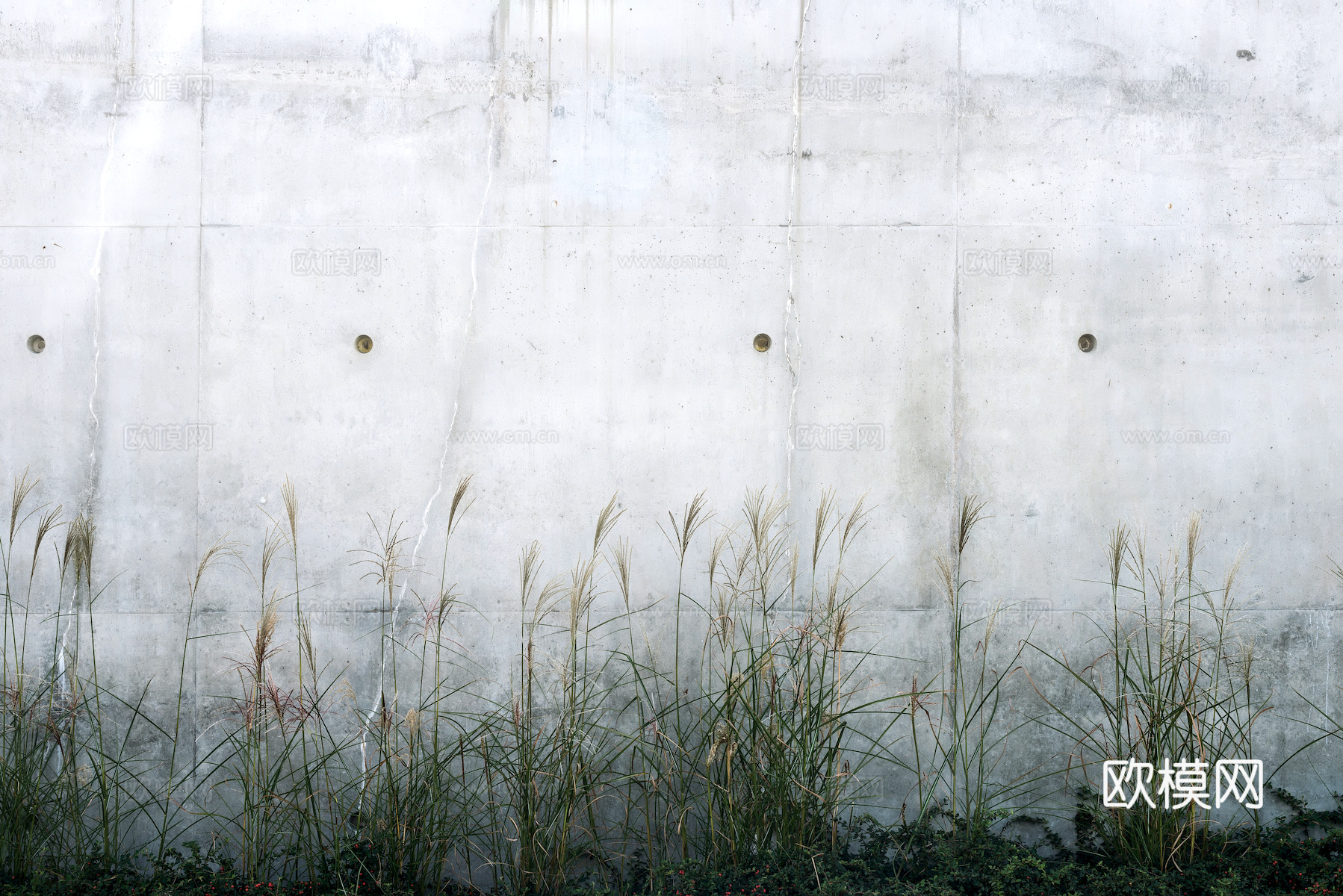 墙面涂鸦 围墙涂鸦 油彩墙面 旧墙面 水泥斑驳墙面艺术漆涂料