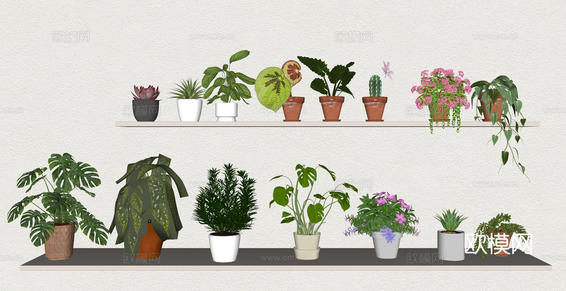 绿植 植物 多肉 盆栽 小绿植su模型